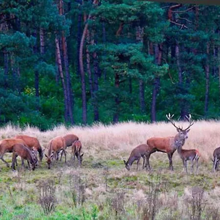 Veluwsvakantieboerderijtje Casa de Férias *